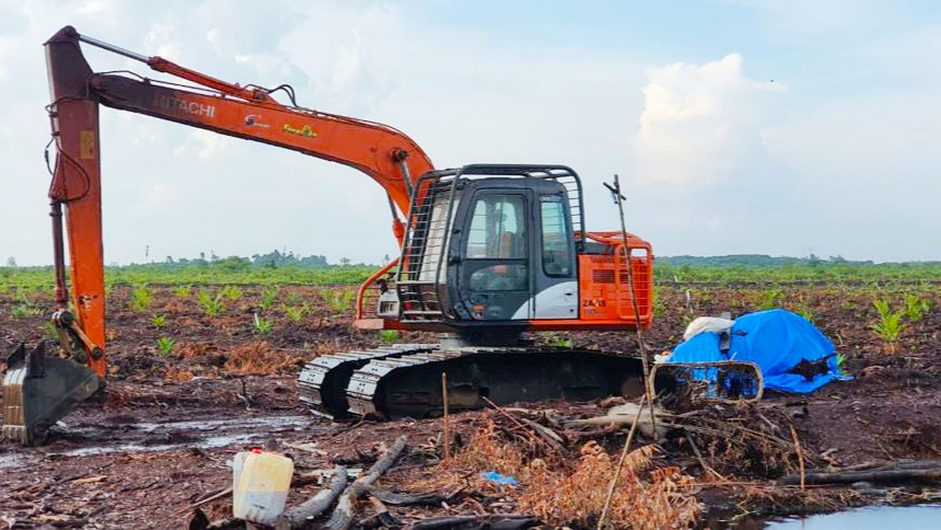 Polisi Tangkap Perambah Hutan di Kabupaten Bengkalis