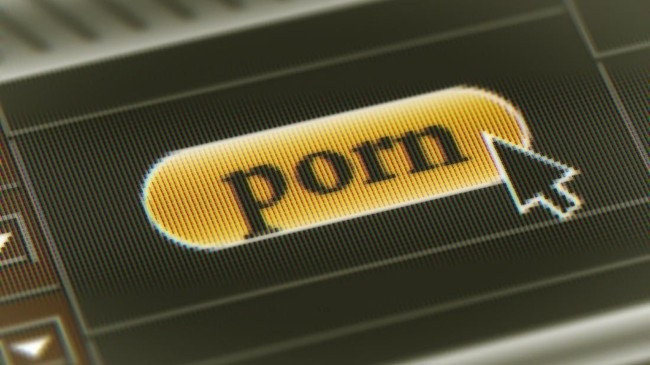 Jual ABG ke WNA Masuk Situs Pornografi, Muncikari di Jaksel Ditangkap