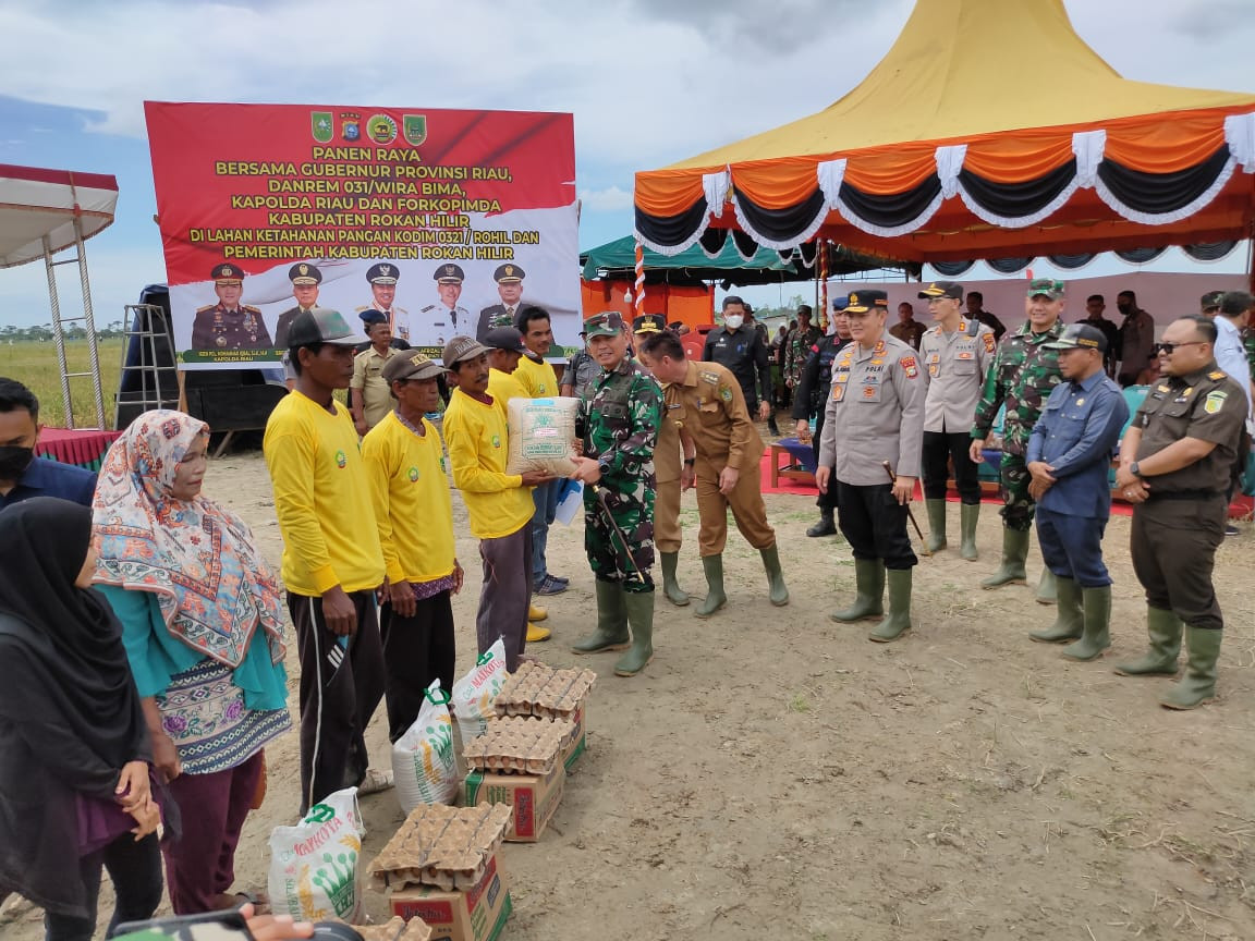 Gubernur, Danrem 031 Wira Bima,Kapolda Riau Panen Raya Padi di Rohil