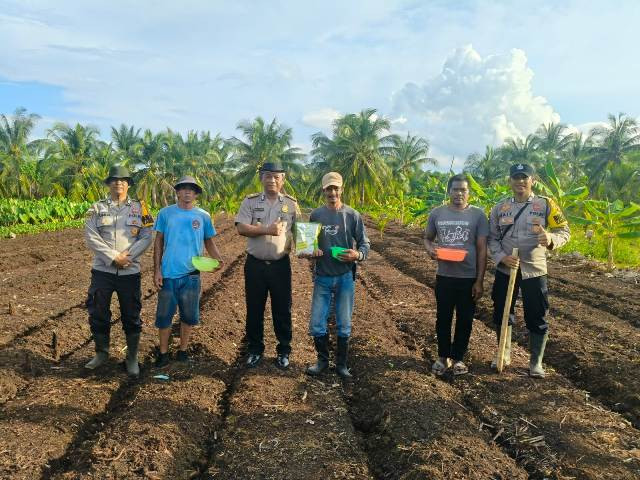 Kapolsek Rangsang Kembali Laksanakan Penanaman Jagung Pipil Dukung Ketahanan Pangan Nasional