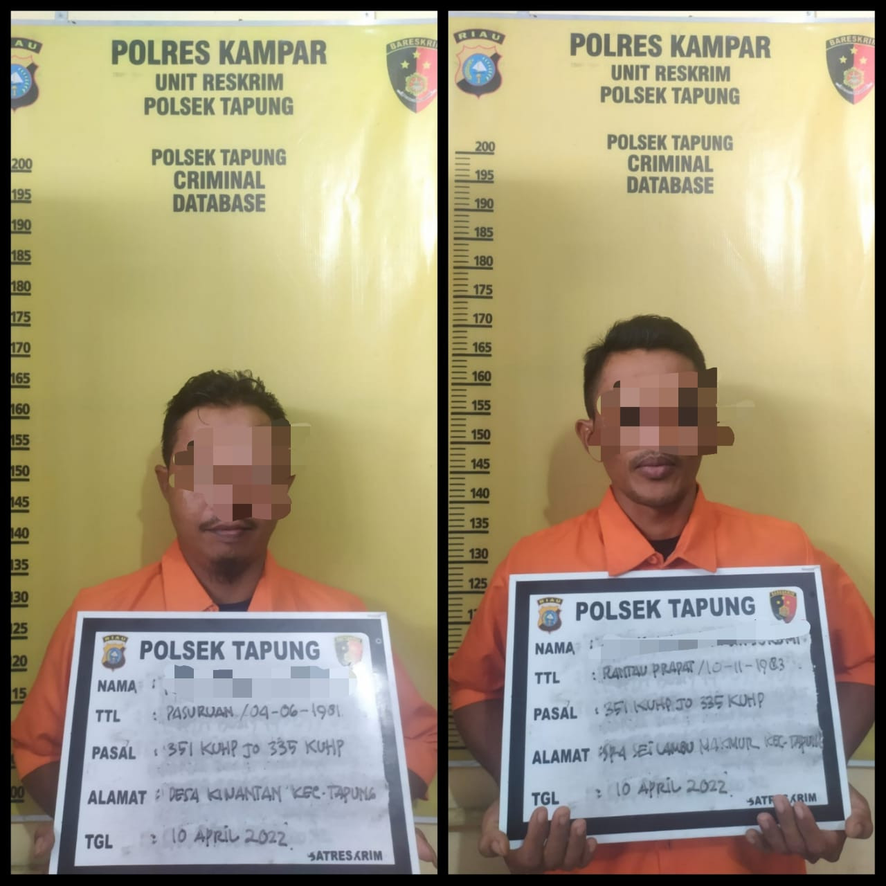 Todong Mandor Sama Senpi, Pelaku di Tangkap Polisi Tapung