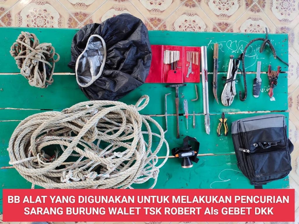 Tiga Pencuri Sarang Walet Diringkus Polsek Bangko, 1 DPO