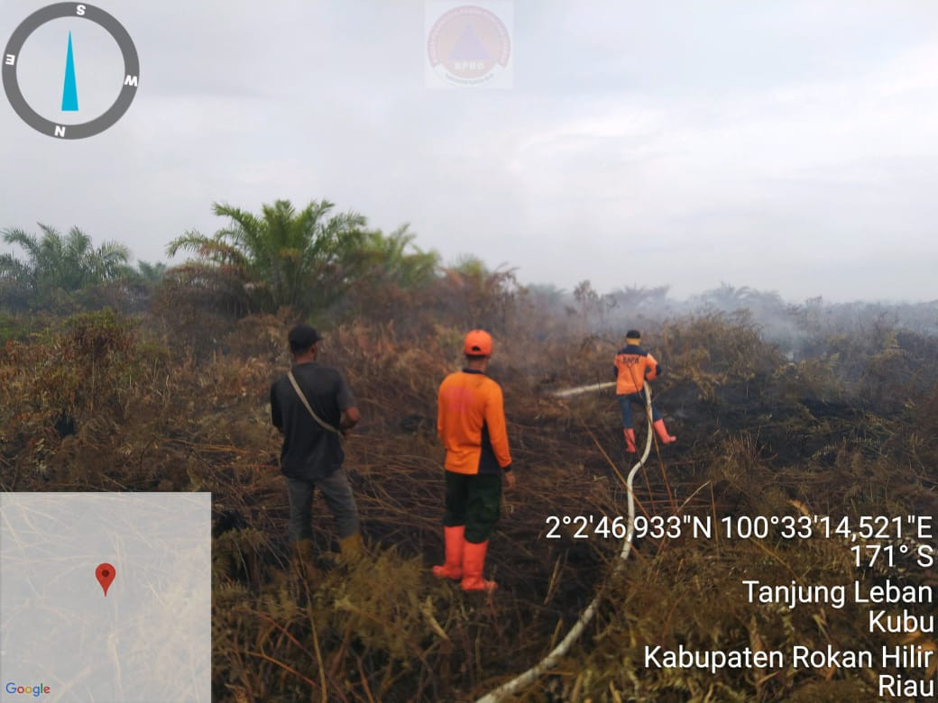 15 Hektar Kebun Sawit Terbakar Di Sungai Segajah Kubu