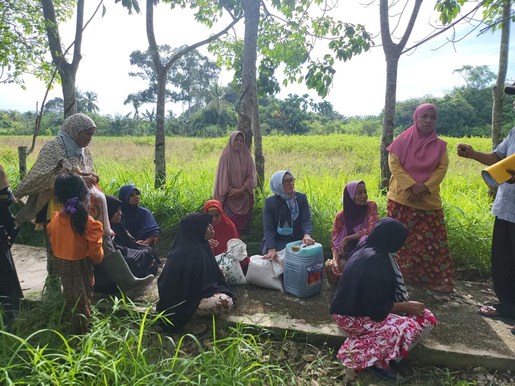 Haswinda Turun ke Sawah Temui Kelompok Tani