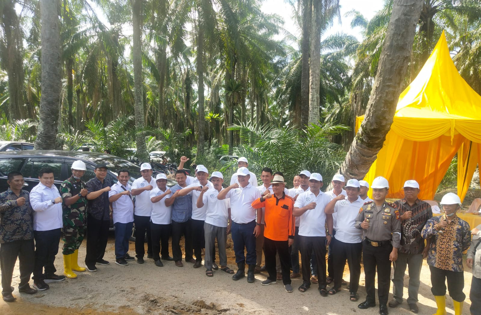 Kadis Pertanian Rohil Hadiri Panen Perdana TBS Program PSR Tahap II