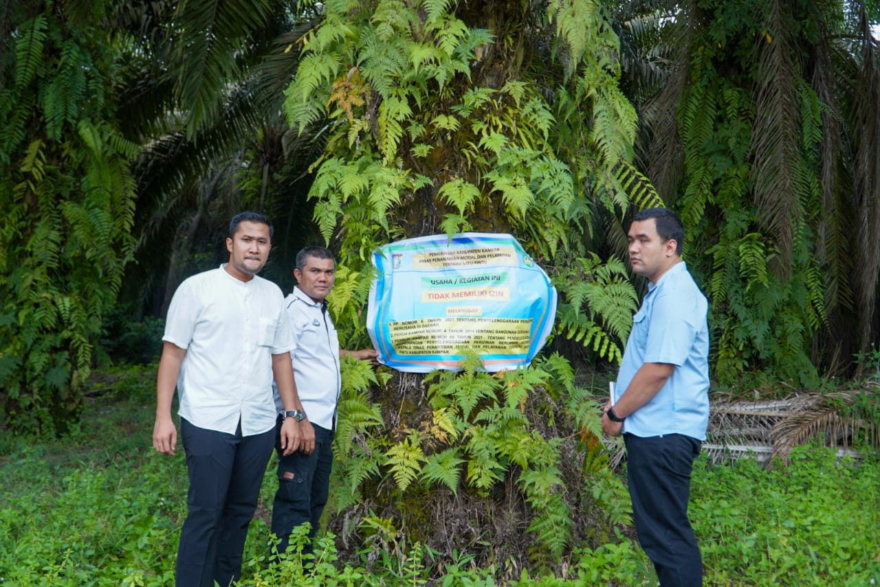 Pemkab Kampar Segel Kebun PT Bumi Sawit Perkasa 
