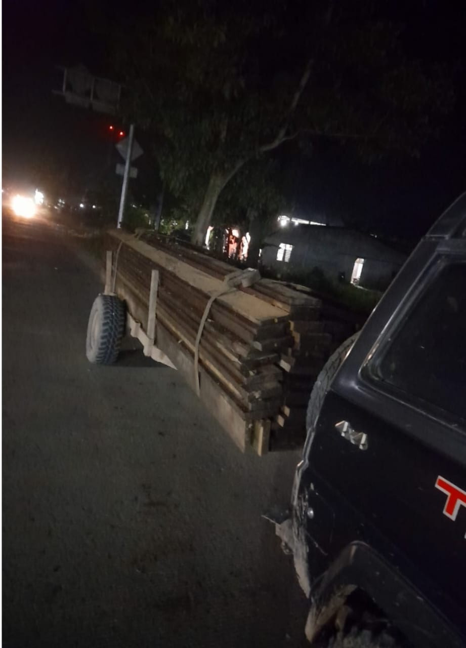 Pelaku Ilegal Logging Semakin Menggila di Hutan Dumai