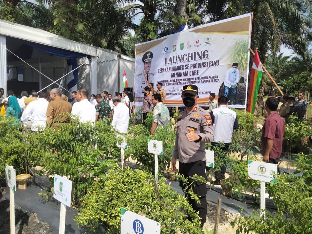 Untuk Pengamanan Gubri Kapolsek Tambang Kerahkan Seluruh Personilnya