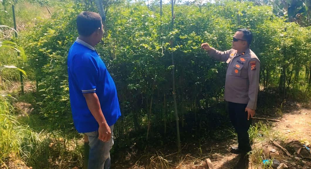 Polri Hadir di Tengah Petani, Polsek Rengat Barat Intensifkan Program Pangan Bergizi