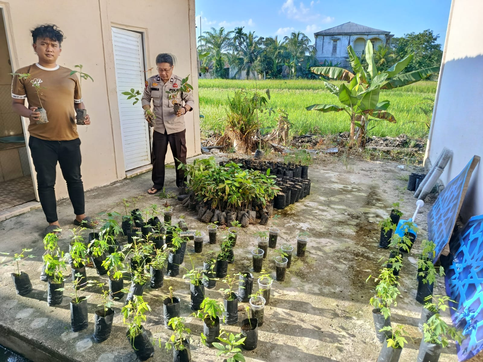 Sinergi Polri Dan Masyarakat Keritang, Pindahkan Bibit Buah Demi Masa Depan Pangan Berkelanjutan