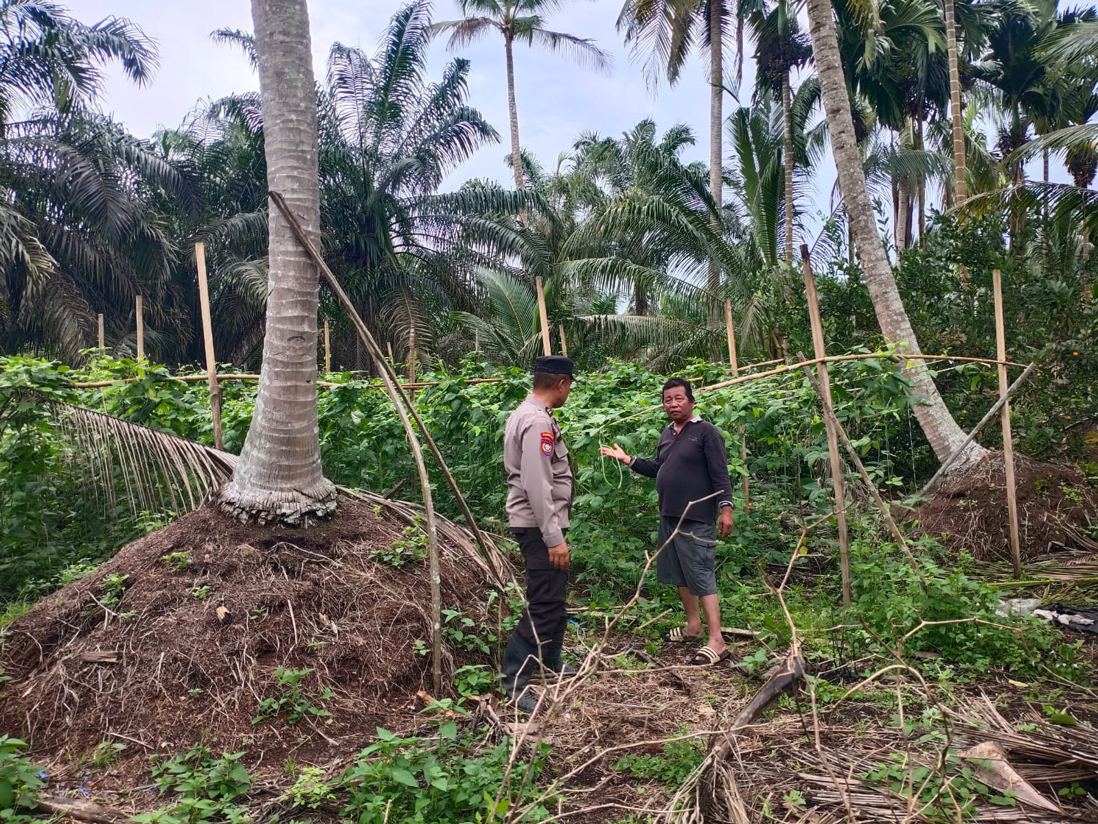 Bhabinkamtibmas Langsung Ke RT 02 Lintas Utara, Pastikan Lahan Produktif
