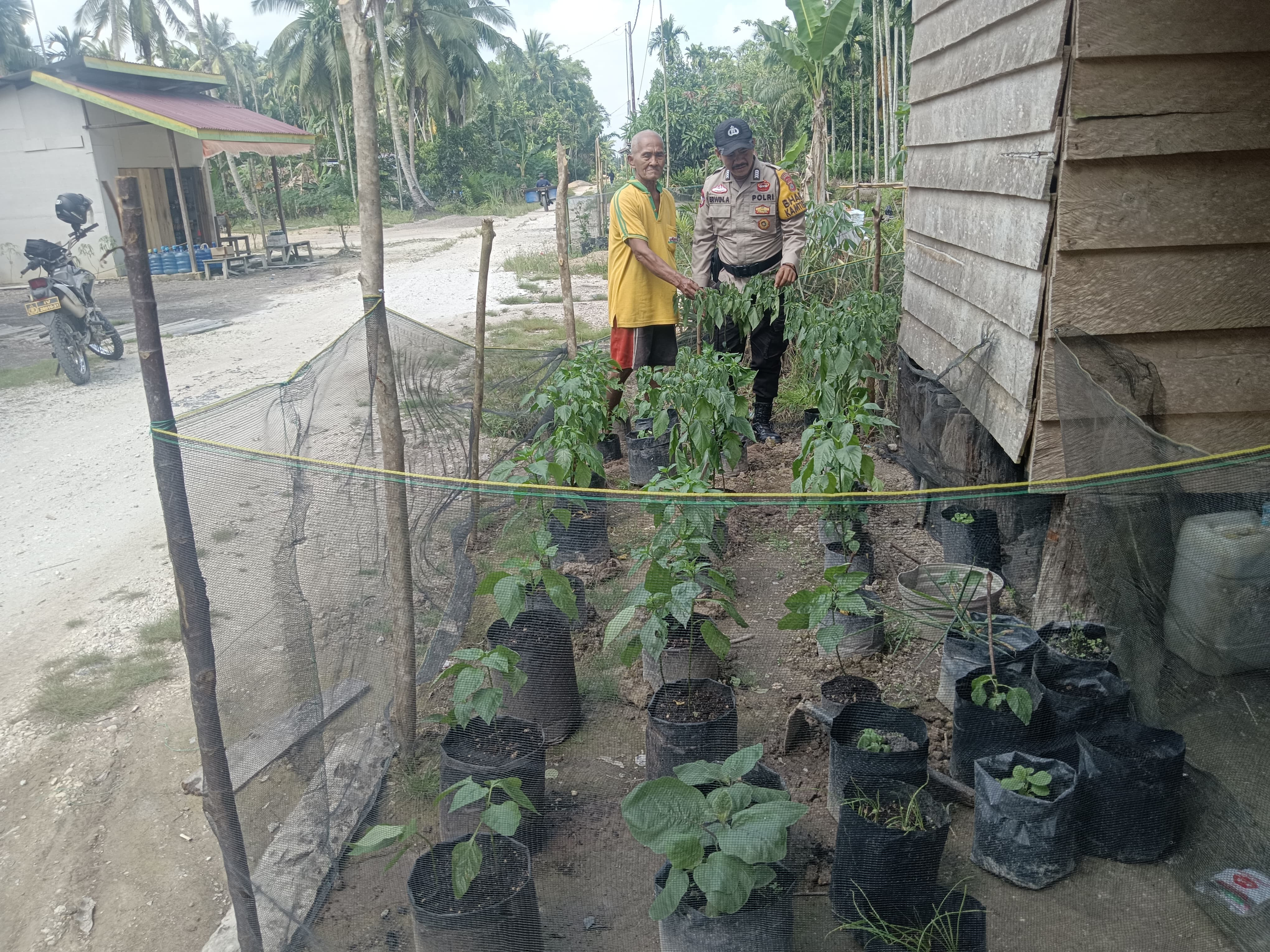 Sahabat di Tengah Lahan, Bhabinkamtibmas Keritang Kawal Ketahanan Pangan