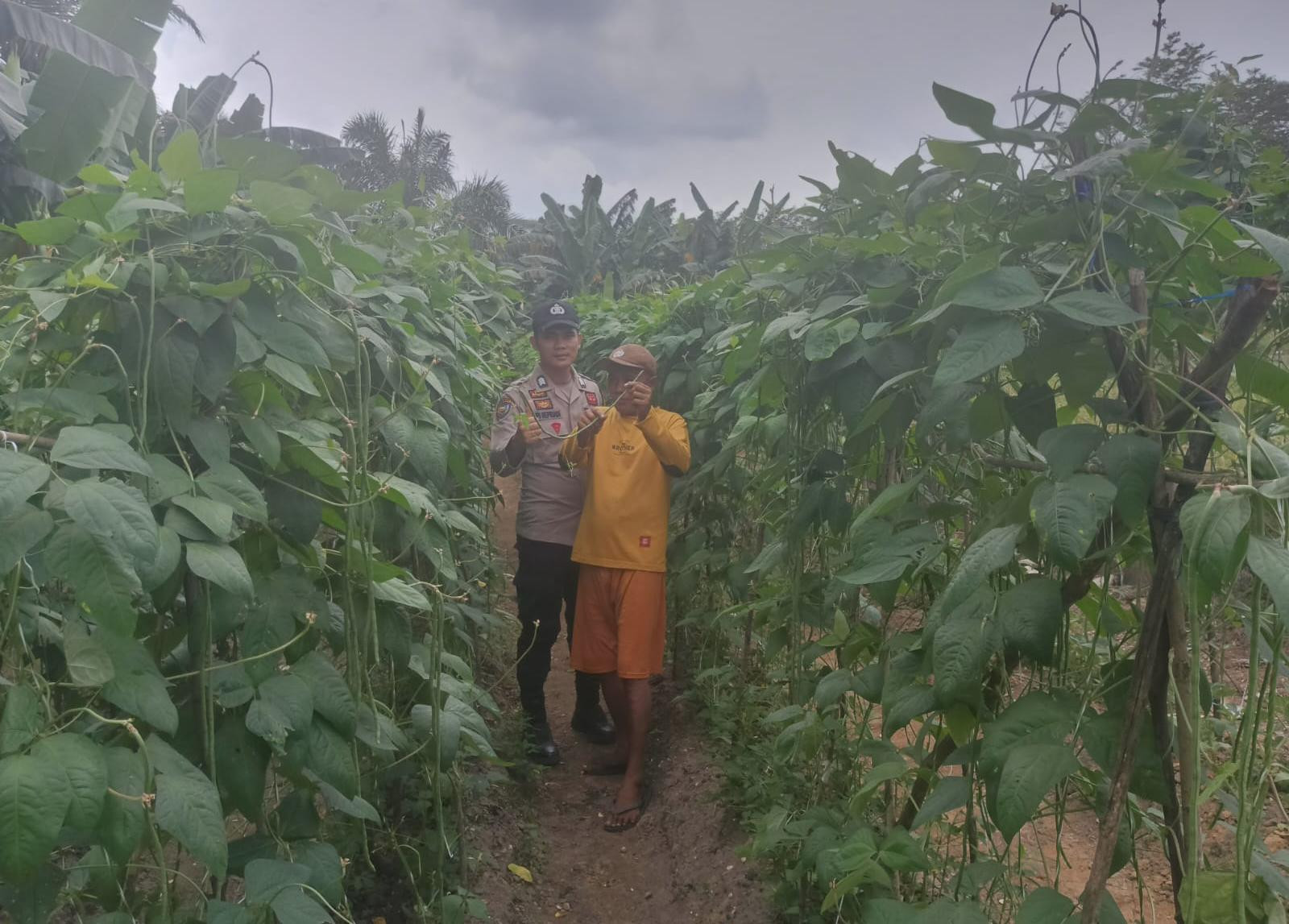 Dari Desa Teluk Sejuah untuk Indonesia, Polsek Kelayang Galakkan Ketahanan Pangan