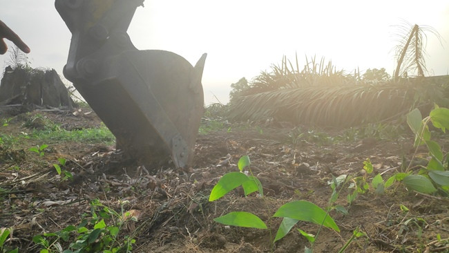 Pengamat: Polemik Lahan Desa Gondai Harus Diselesaikan Secara Perdata