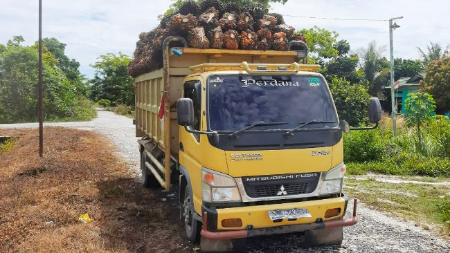 Polres Kampar Cari Dalang Pencurian Sawit Kopsa-M