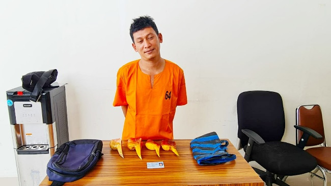 Polisi Tangkap Penjual Empat Paruh Burung Rangkong