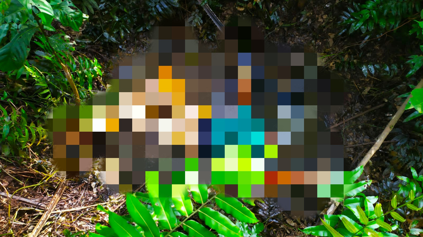 Pemancing Temukan Mayat Wanita Membusuk di Kebun Sawit Lubuk Sakat