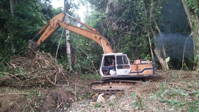Alat Berat Sitaan Dishut   di Mentulik Tiba-tiba Lenyap