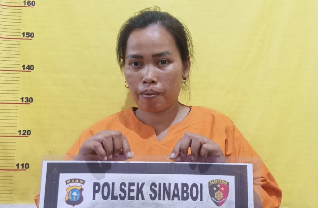 Tersulut Api Cemburu, SBN Aniaya ST Hingga Bonyok Berdarah