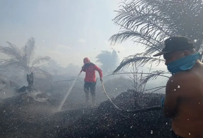 Polda Riau Memproses sembilan Tersangka Kasus Karhutla
