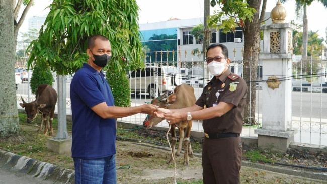 Kejati Riau Sembelih 6 Hewan Kurban