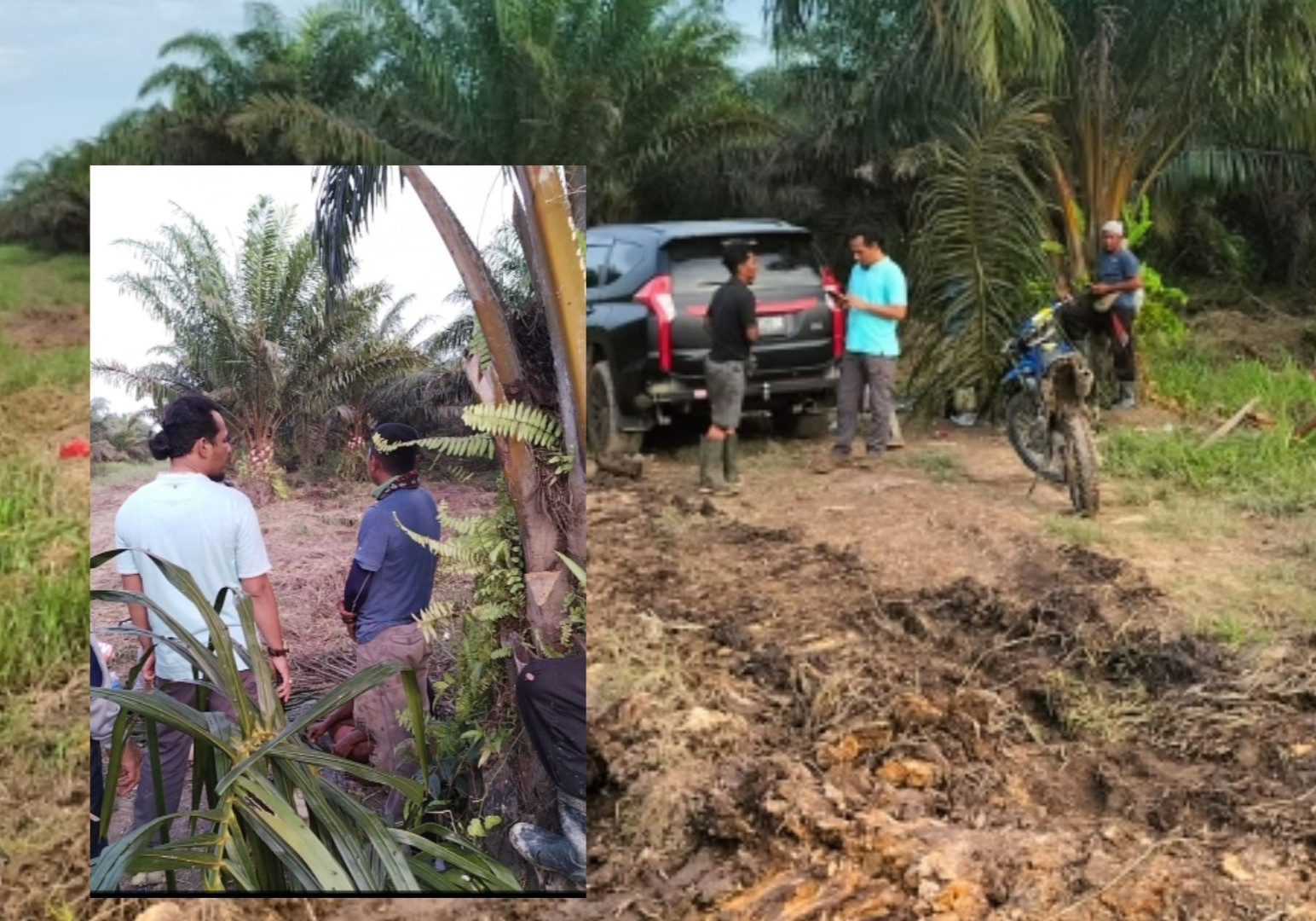 Kuasai Kebun Sawit PT Tugu Palma, Siti Aisyah Gunakan Dua Unit Alat Berat Untuk Bantu Masyarakat
