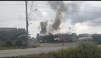 Asap Pabrik PT MSSP Berdampak Buruk Bagi Kesehatan Masyarakat
