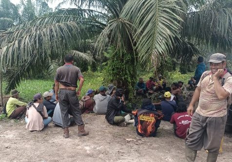 HGU PT ASL Pailit Yang Dibeli PT SBP Serobot Kebun Petani di Rengat