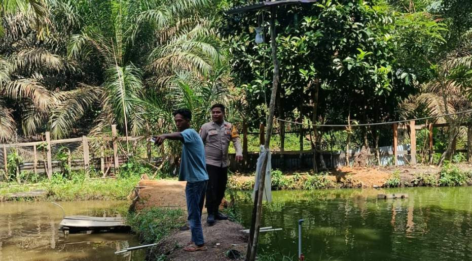 Bhabinkamtibmas Kelayang Monitoring Budidaya Ikan Nila, Pastikan Program Ketahanan Pangan Berjalan