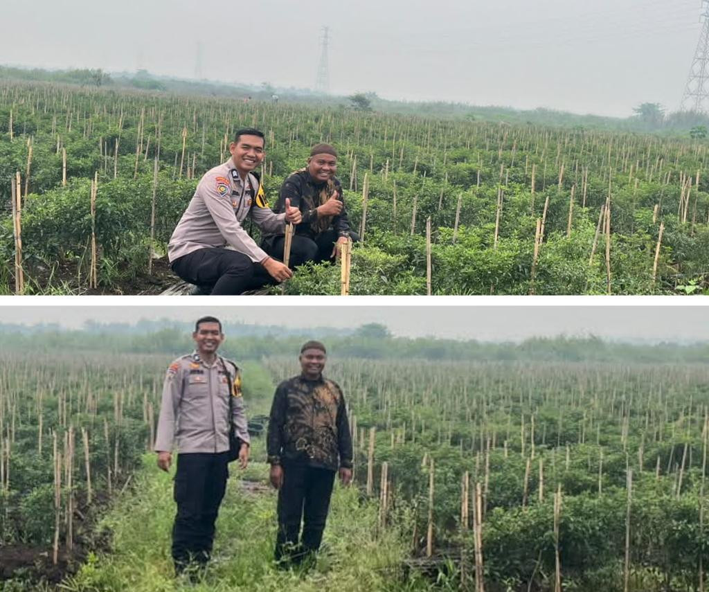Dukung Ketahanan Pangan dan Cegah Karhutla, Polsek Kuala Cenaku Turun Dampingi Petani