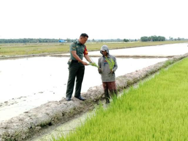 WhatsApp_Image_2024-07-11_at_13_29_00_6f9b4878.jpg