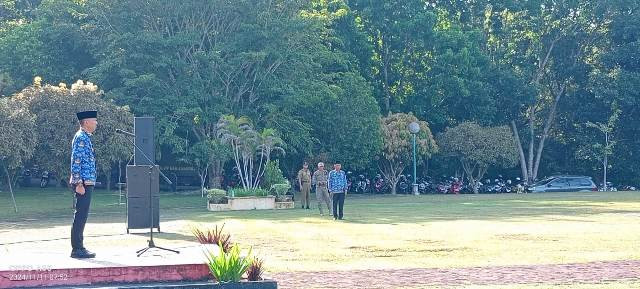 WhatsApp_Image_2024-11-11_at_09_06_12_f818028a.jpg
