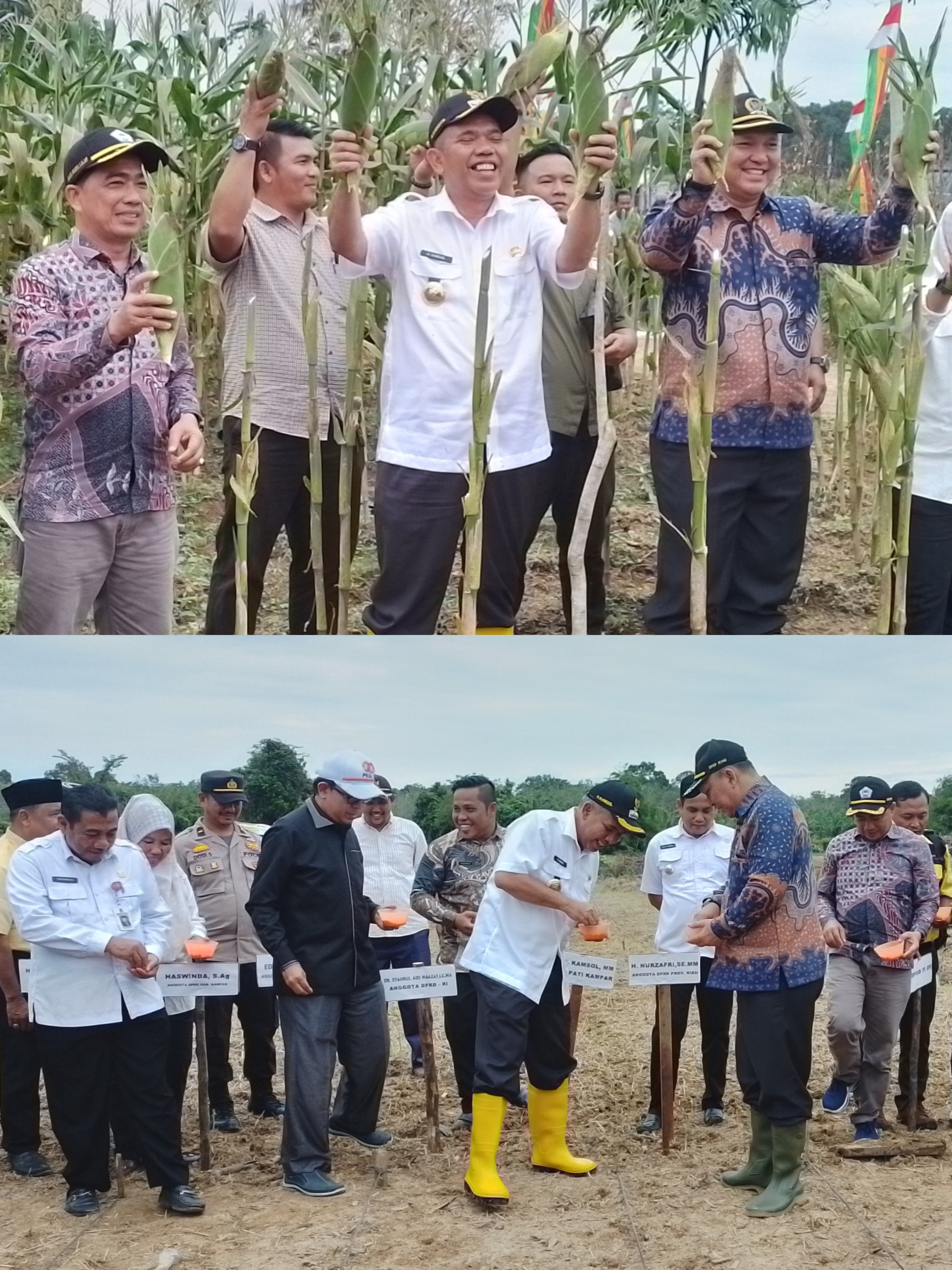 Nurzafri Inggin Desa Pulau Birandang di Jadikan Percontohan Ketahagan Pangan Kampar