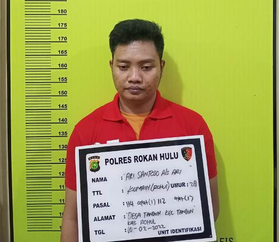 Sat Narkoba Polres Rohul bekuk pemain Narkotika jenis Sabu di Ujungbatu 