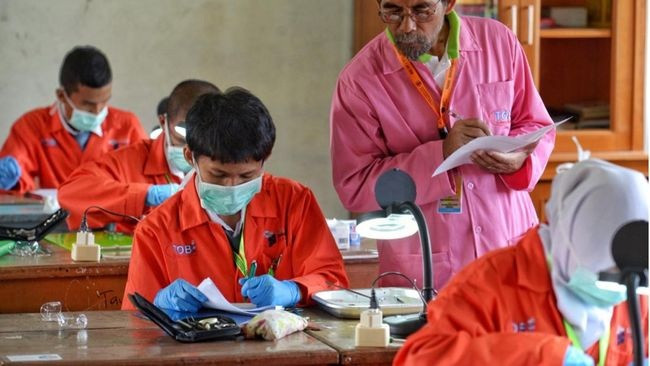Sekolah Penggerak Upaya Kemendikbudristek Kembangkan SDM Unggul
