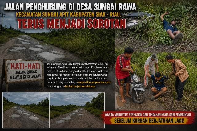 bd178dcd-c6a5-4f89-995c-bb59c9c5d778.jpg