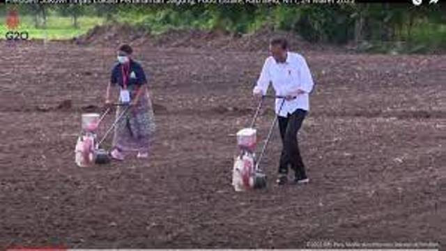 Jokowi Buka Suara soal Julukan Bapak Pembangunan Desa