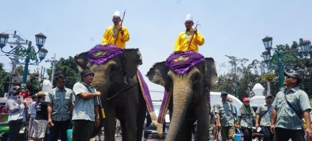 Dua Gajah Kawal Grebeg Maulud Keraton Yogya Peringati Maulid Nabi
