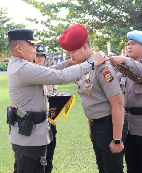 fb2f838a-0562-4e3f-8ddc-c10af08de075.jpg