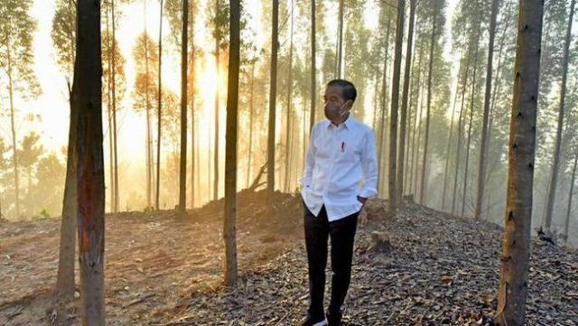 Jokowi Pulang ke Jakarta Usai Berkemah di IKN, Batal Tinjau Vaksinasi