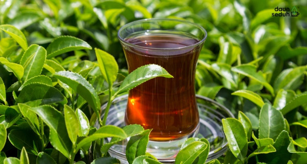 Rekomendasi Teh untuk Turunkan Berat Badan
